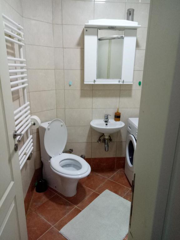 Cozy studio Belgrade (Zemun) photo