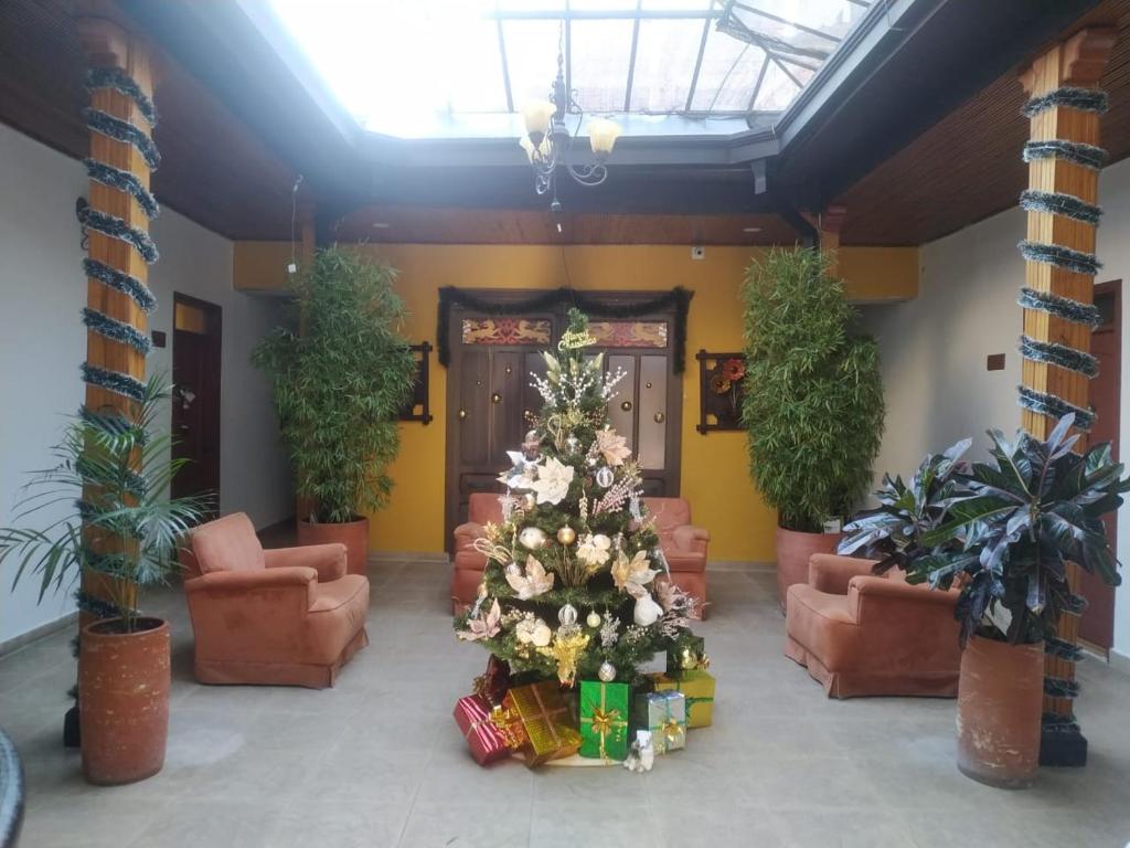 Hotel Plaza Mayor photo