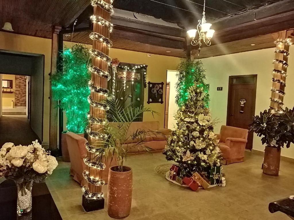 Hotel Plaza Mayor photo