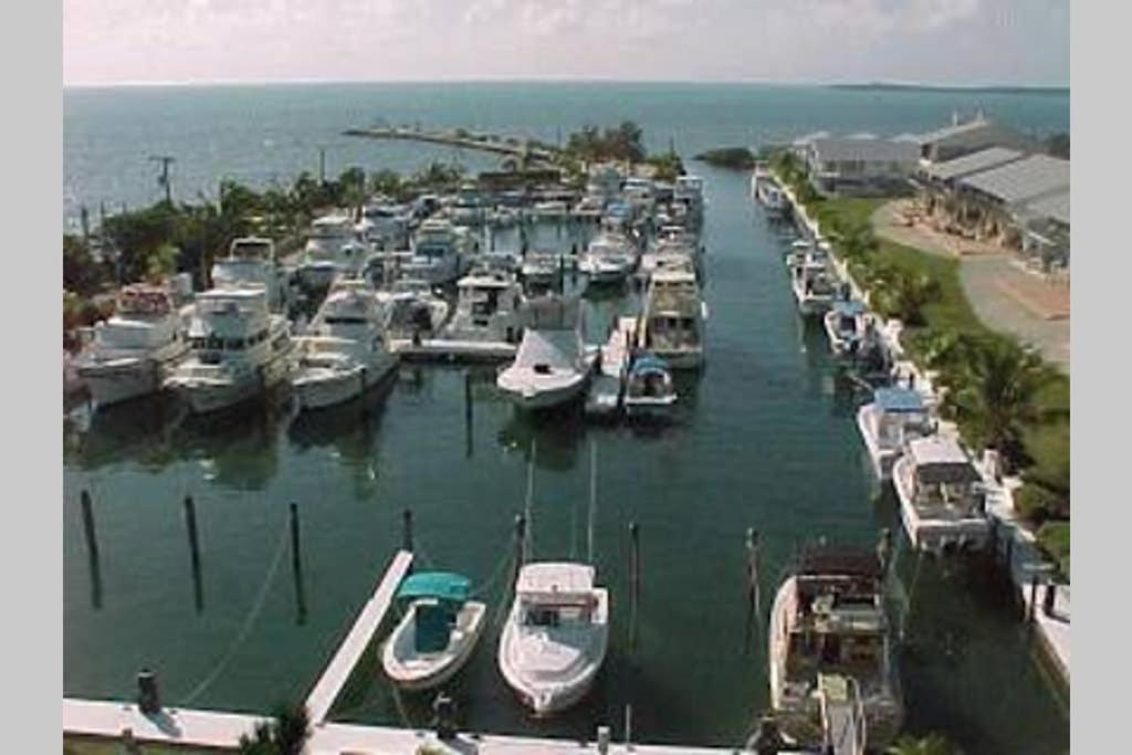 LICENSED MGR - 2/2 VILLA - OCEANFRONT BEACH RESORT - SALTWATER LAGOON & MARINA!, Key Largo