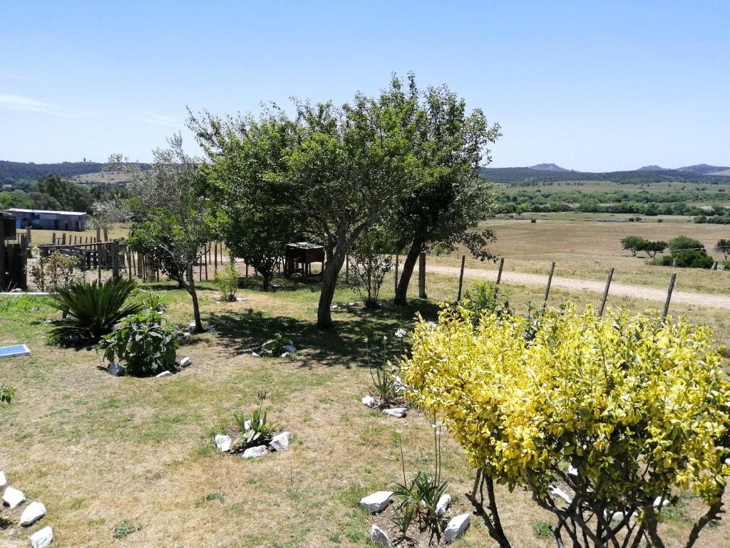 La Chacra photo