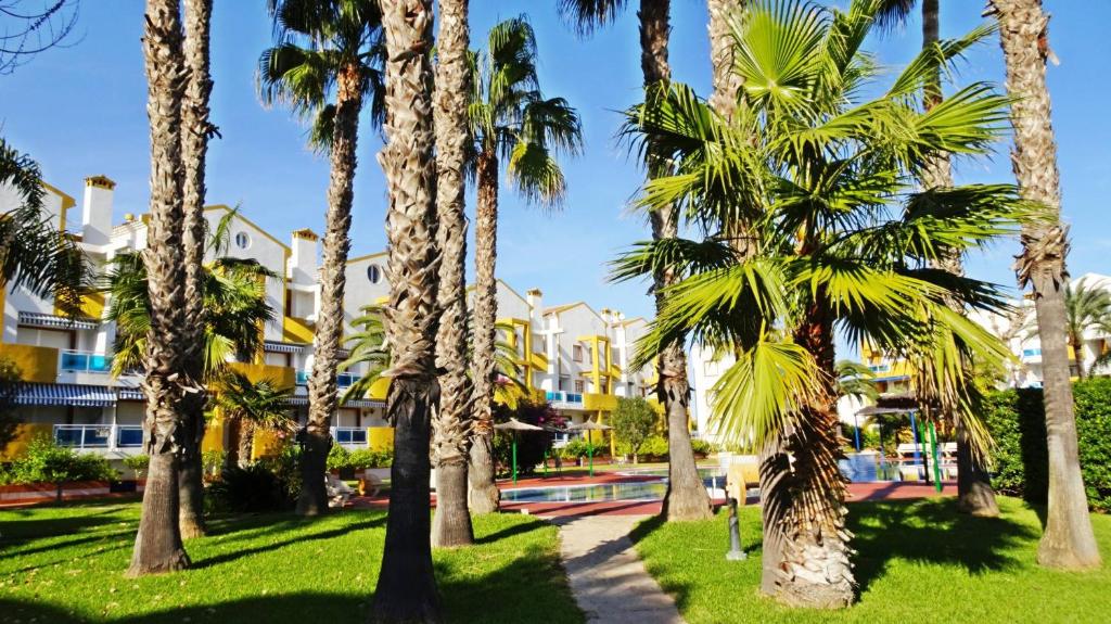 PALMERAS EN LA PLAYA - Beach House in Oliva - 2