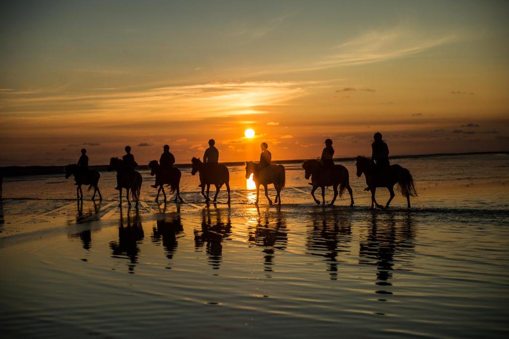 Horseback riding
