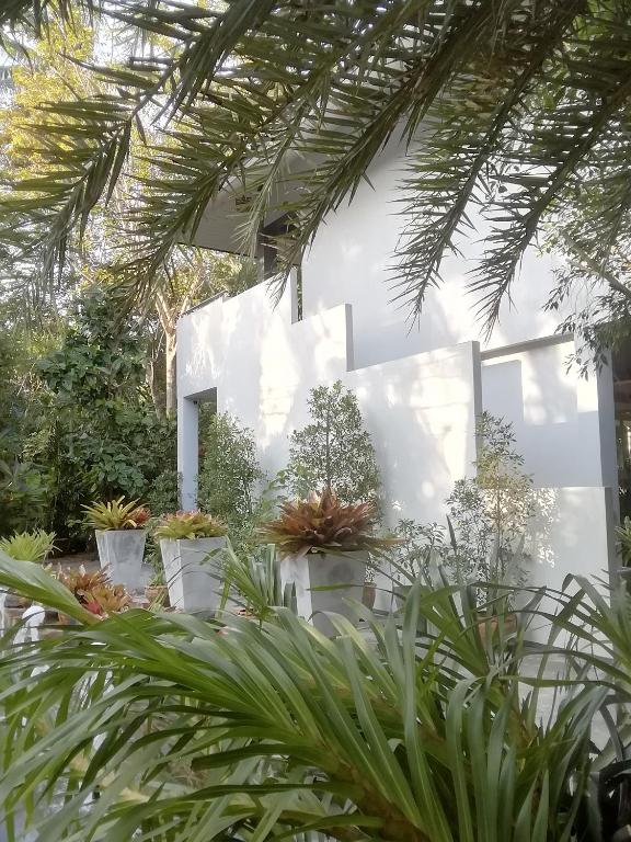 Exterior view