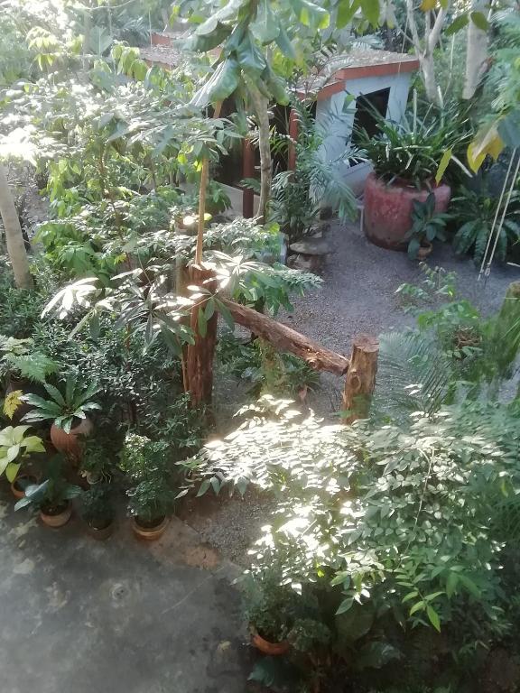 Surrounding environment