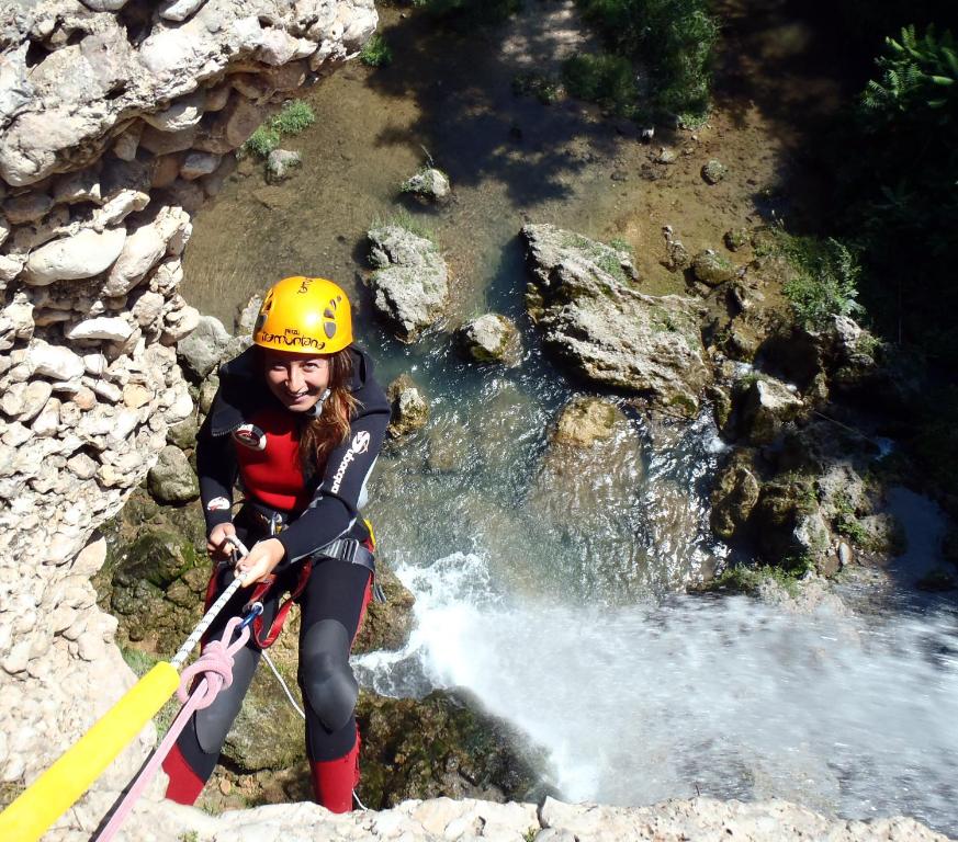 アクティビティ