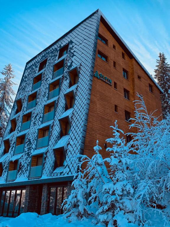 Apartment A1 Lux Alpin - 1