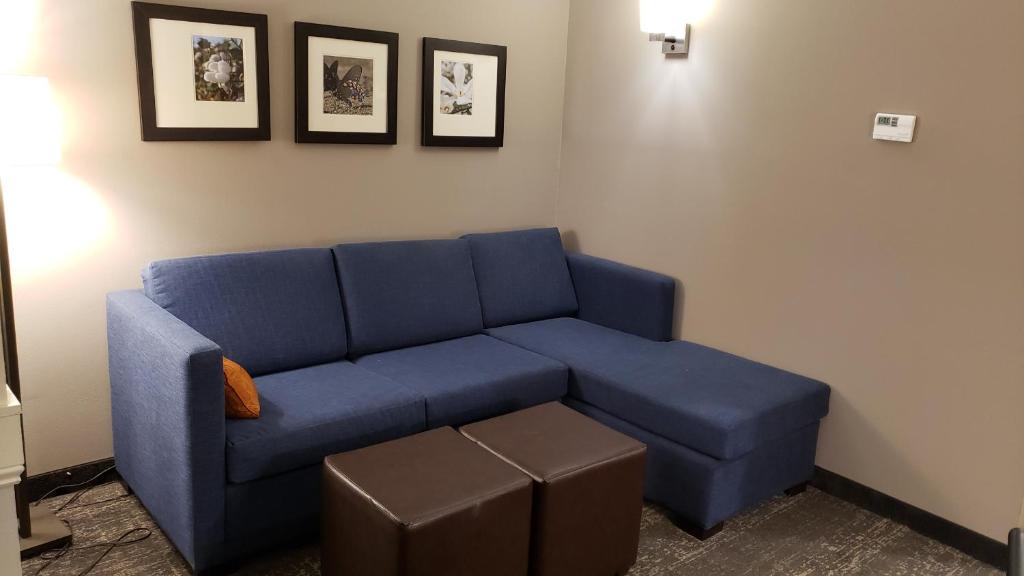 Comfort Suites photo