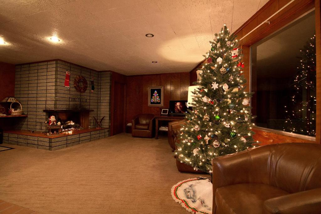 Curly Redwood Lodge photo