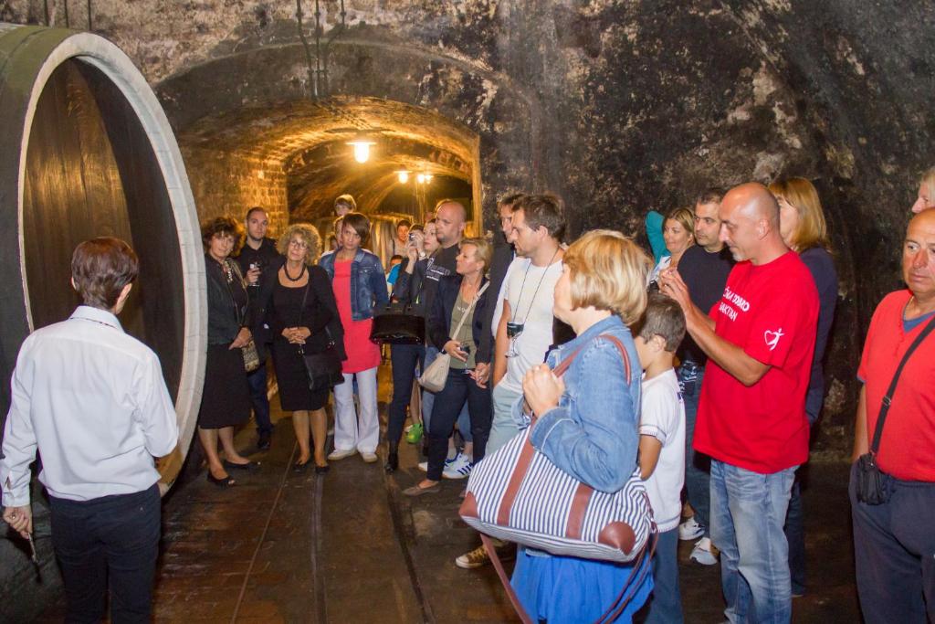 Hotel Stari Podrum photo