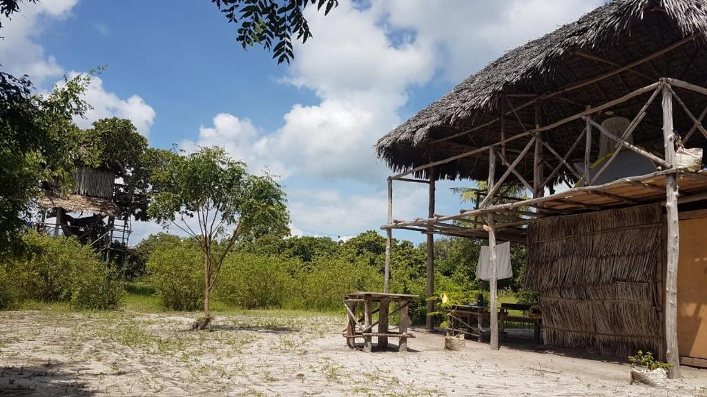 Mida Creek Nature Camp photo