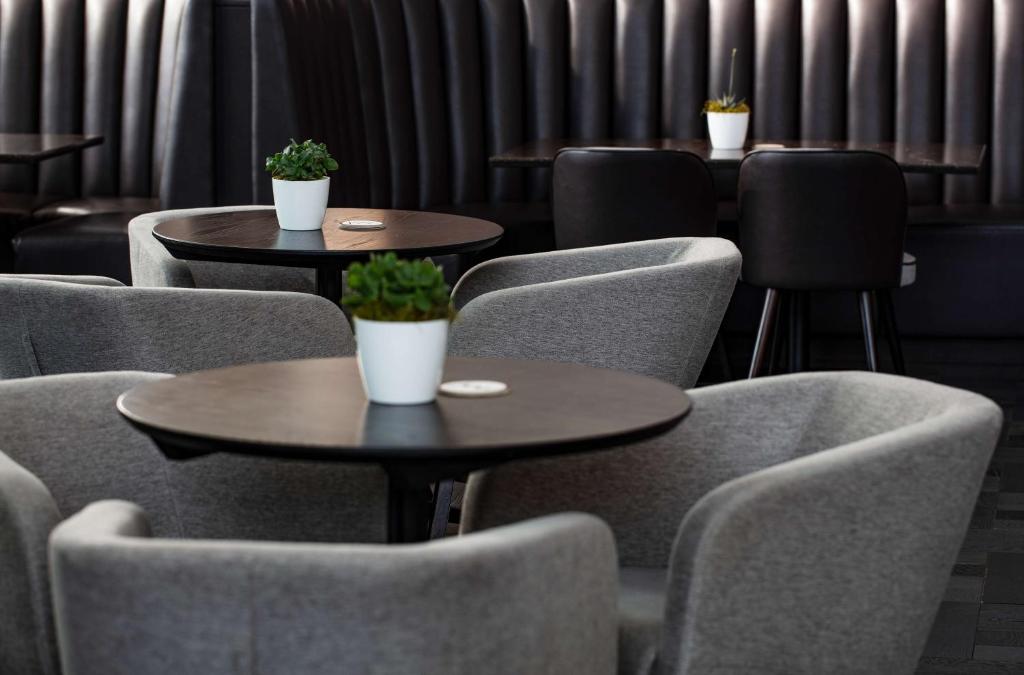 Bar/lounge