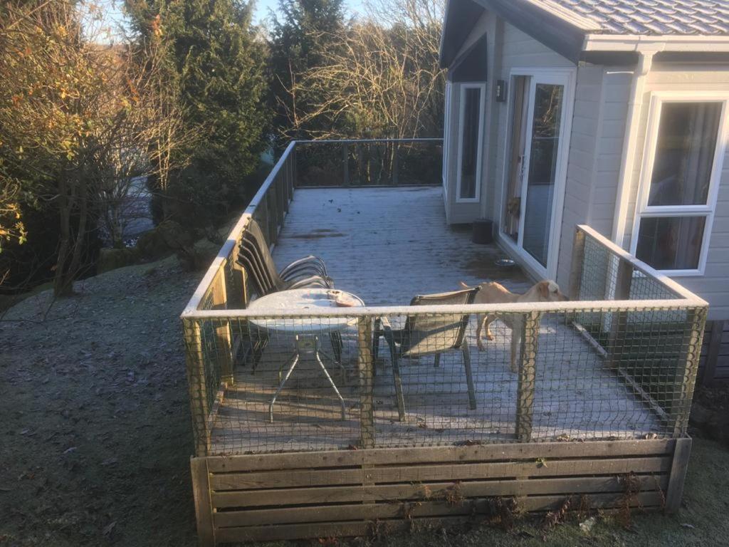 Coastal Kippford Lodge photo 6