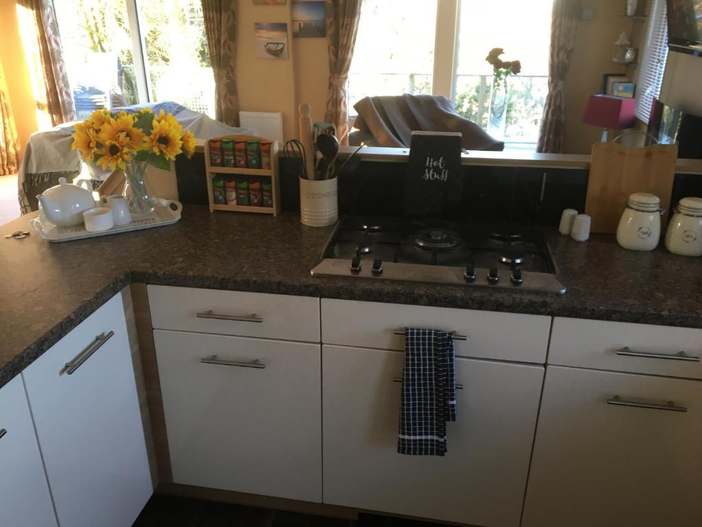 Coastal Kippford Lodge photo 5
