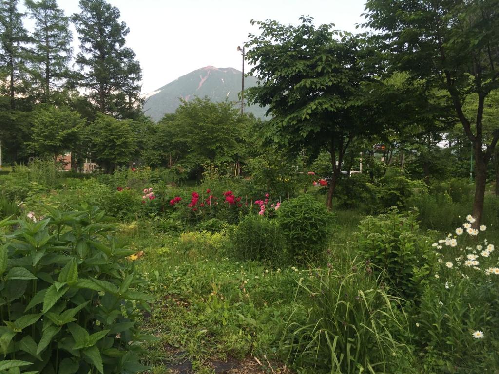 景色