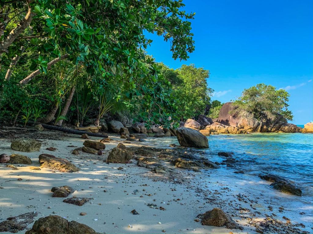 Surrounding environment