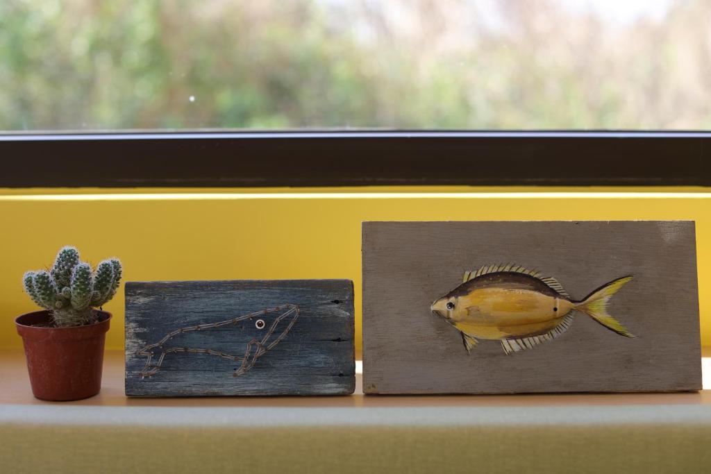 Unterkunft von außen