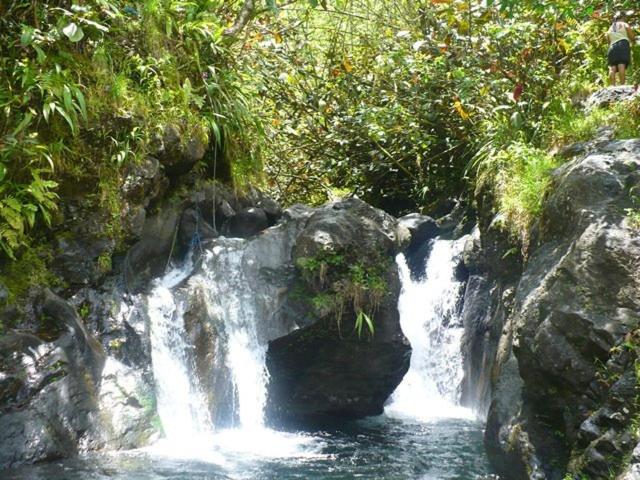 ル ルレ ドゥ ラ マロト ホテル - Room image