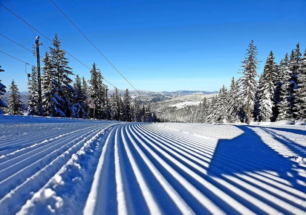 Sport ja tegevused