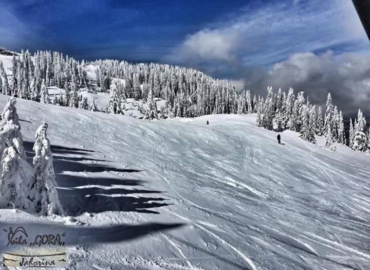Vila Gora Jahorina - 5
