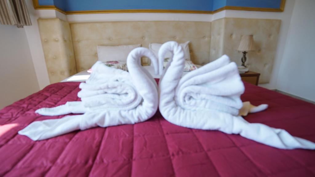 Yiannis Manos Hotel Resort photo