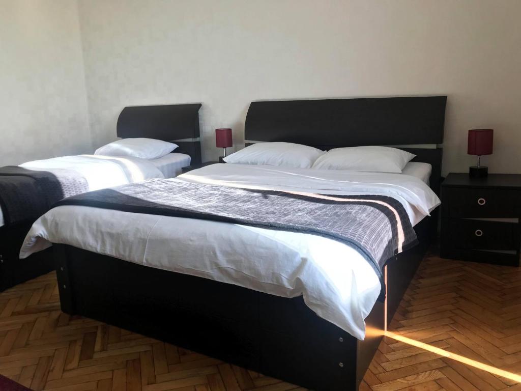 Hotel Eurica photo