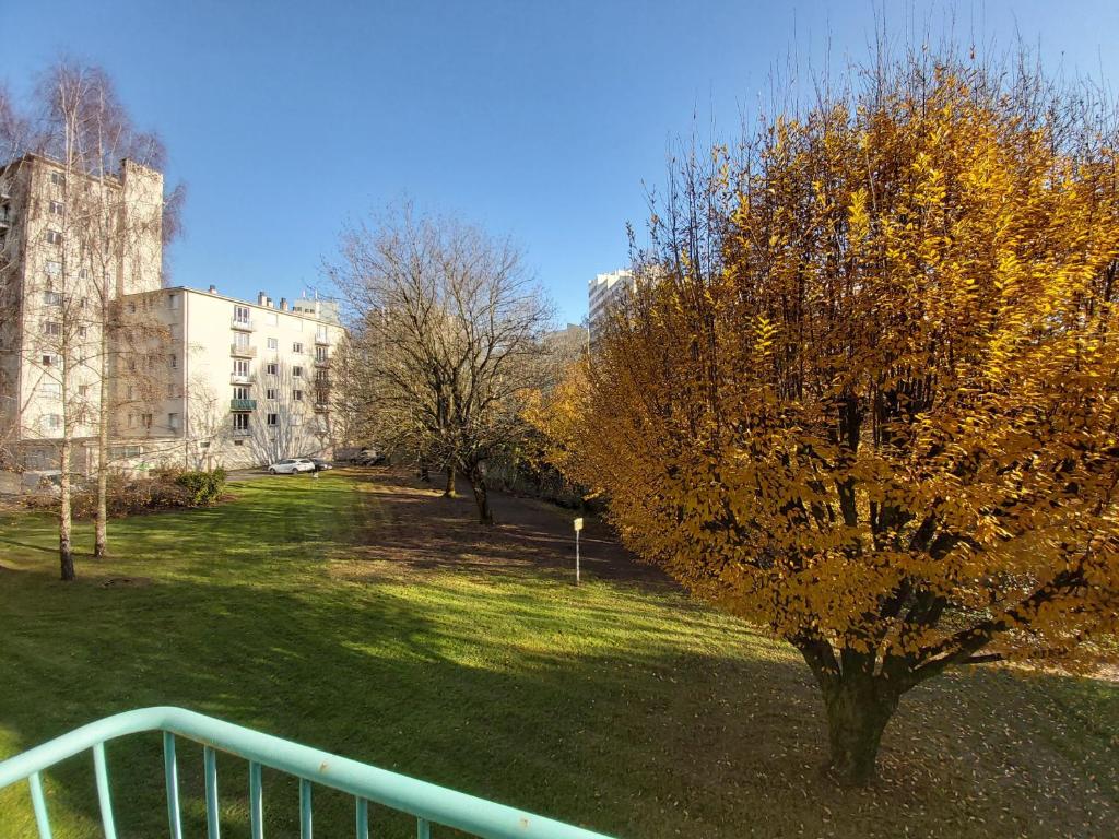 Terrasse, vue sur jardin arboré et place de parking - 5