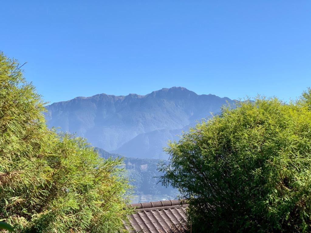 Surrounding environment