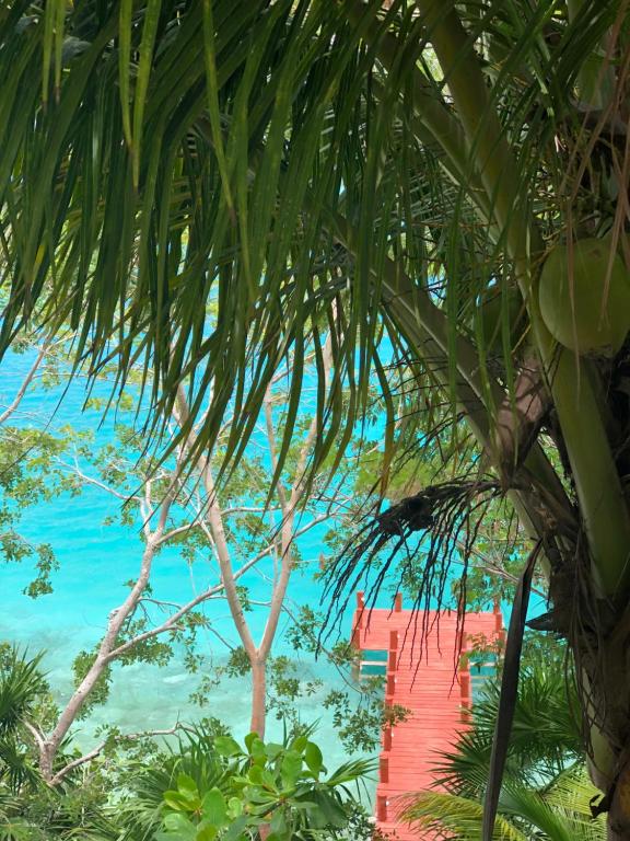 El Roble Nature Hotel & Lagoon photo
