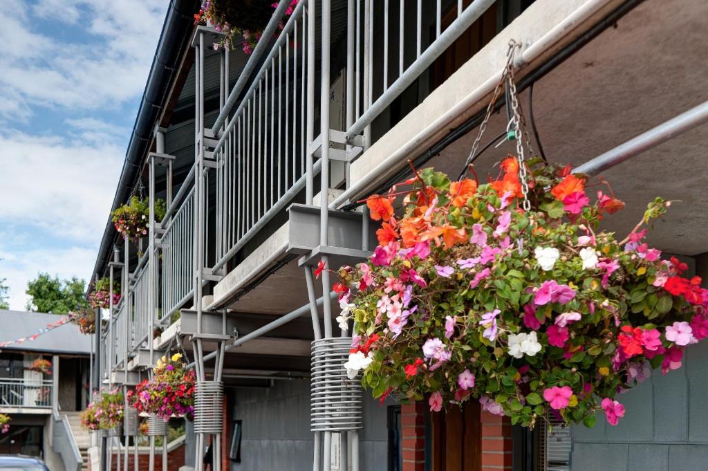 Balcony/terrace, Country Glen Lodge in Christchurch