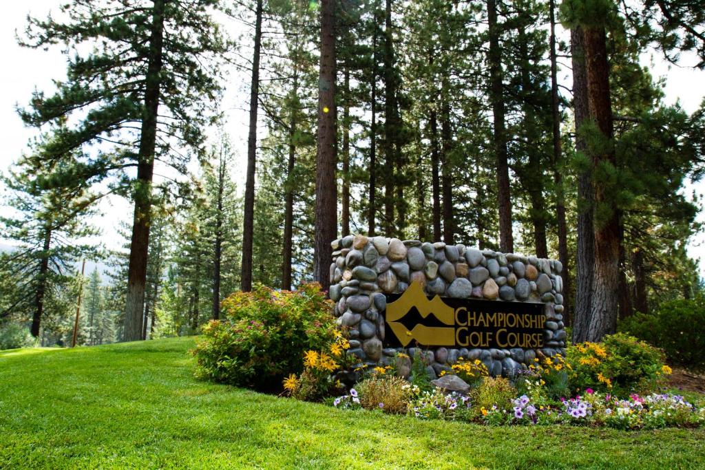 McCloud 137 photo