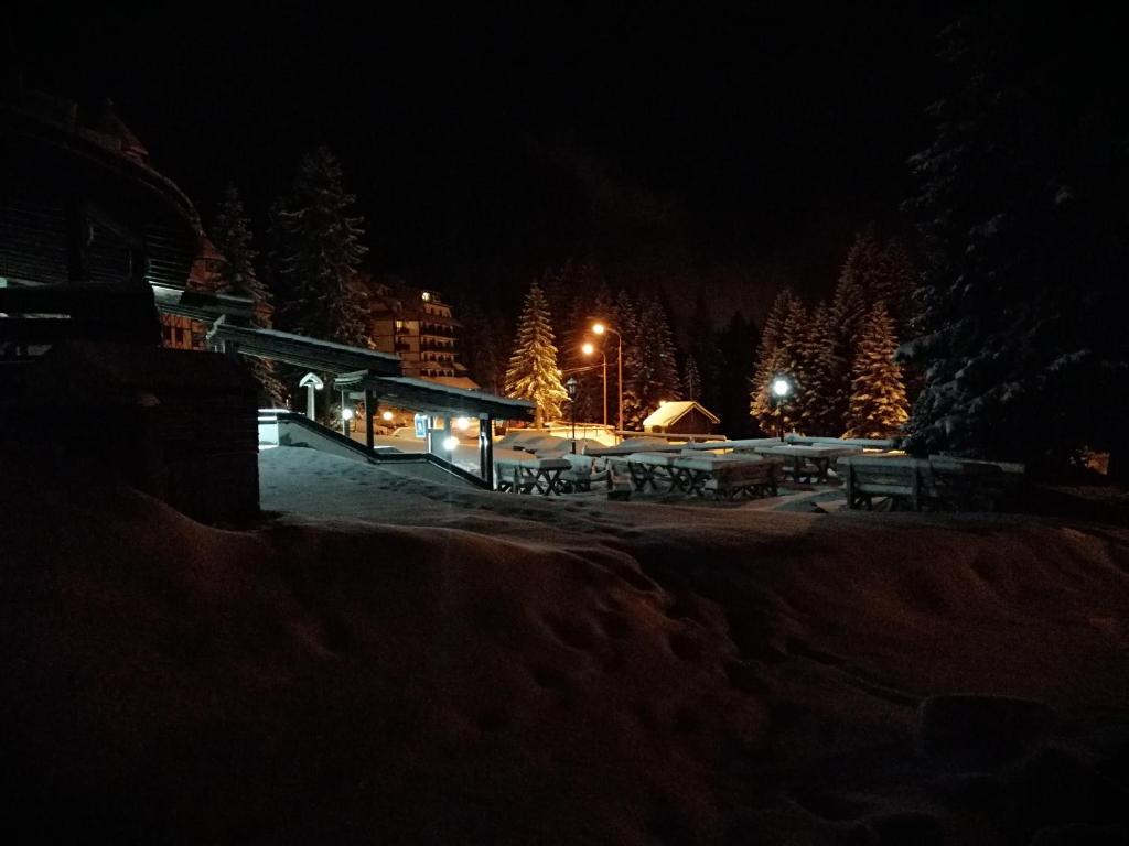 Apartment Lavina Kopaonik - 5