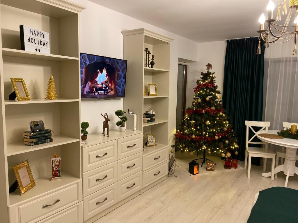 Studio 16 Predeal photo