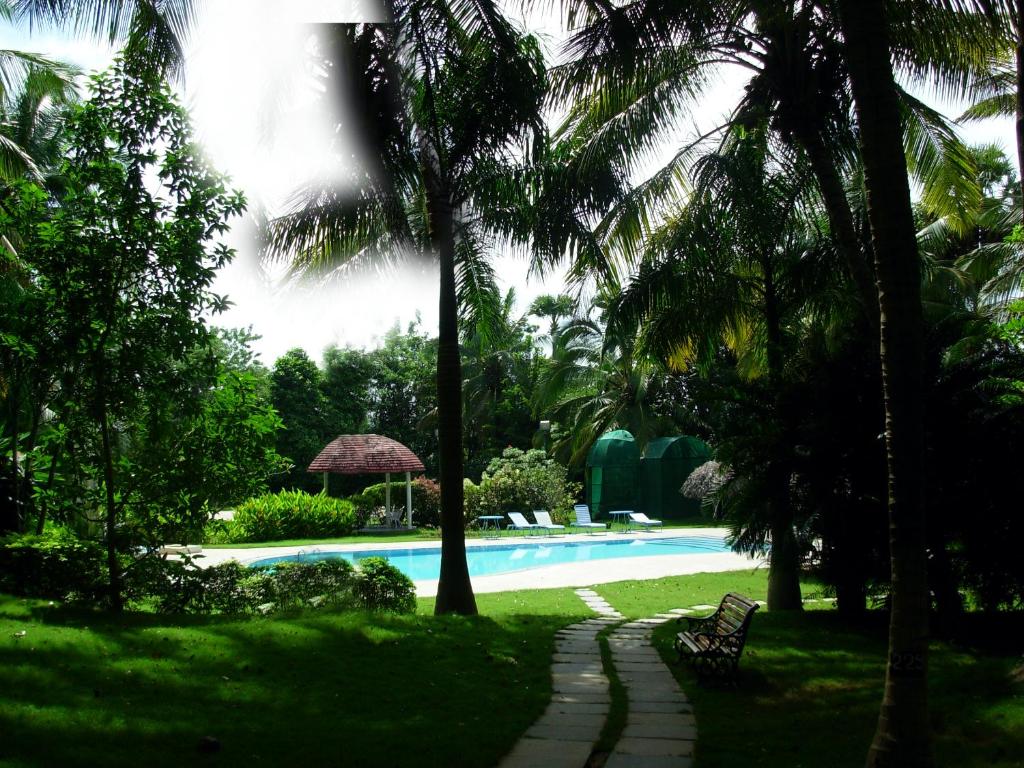 Kairali - The Ayurvedic Healing Village photo