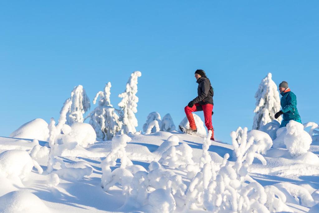 Sports and activities