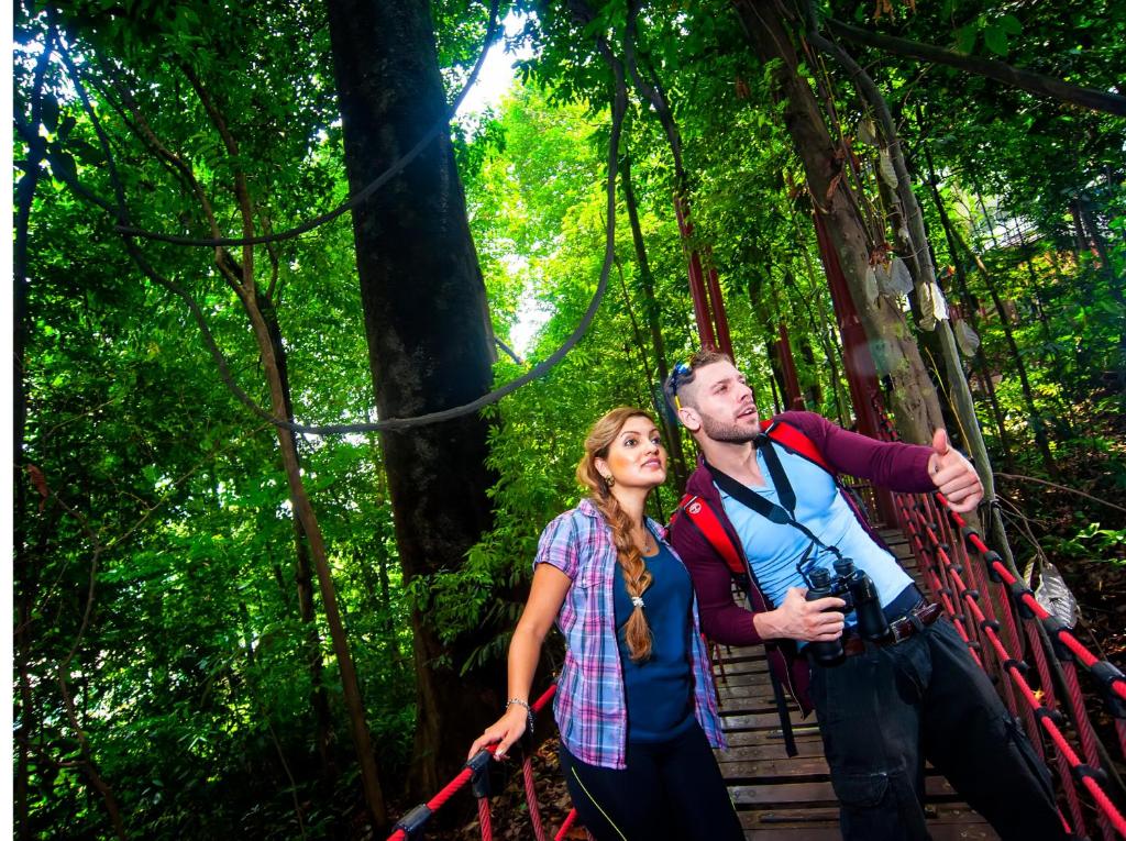 Surrounding environment