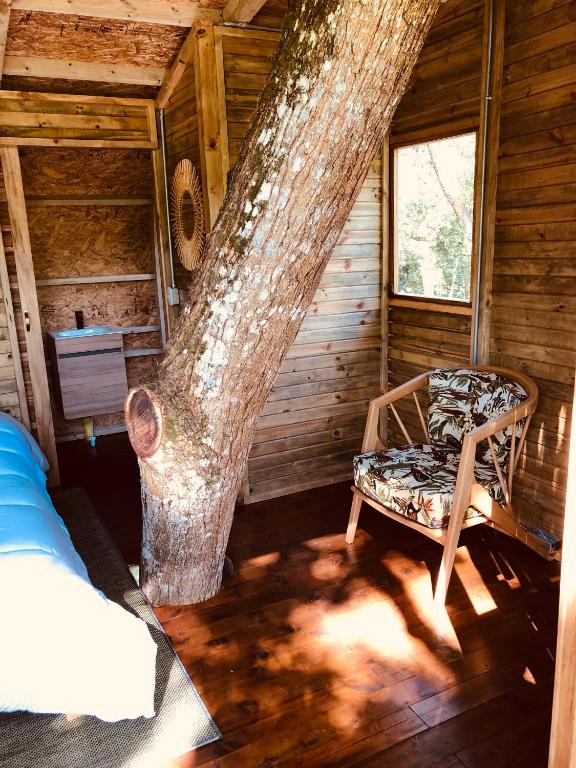 Casa del Arbol Colombia photo