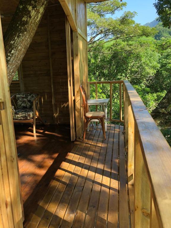 Casa del Arbol Colombia photo