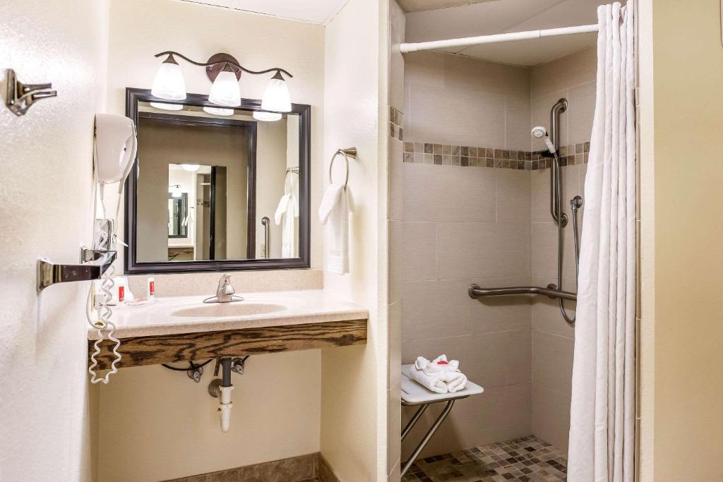 Econo Lodge Mayo Clinic Area photo