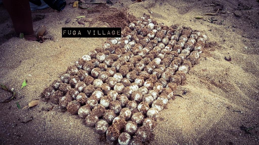 Fuga Village BeachGetaway photo
