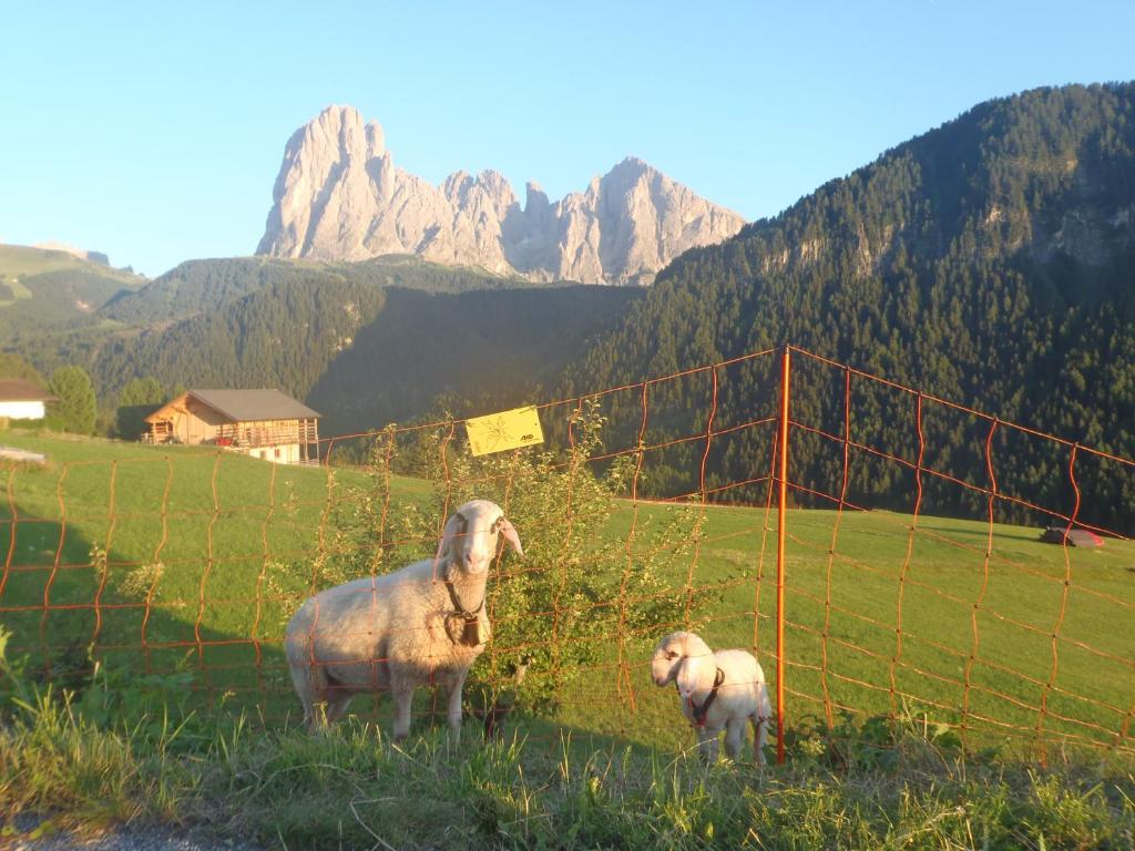 Albergo Somont - 4