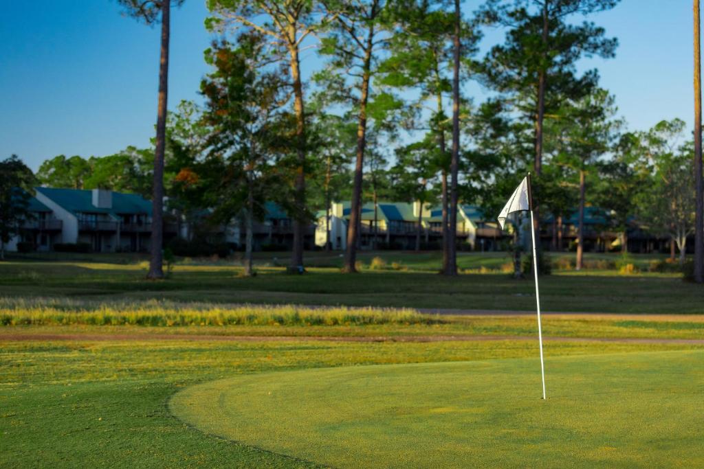 Crown Resorts at Hickory Hills photo