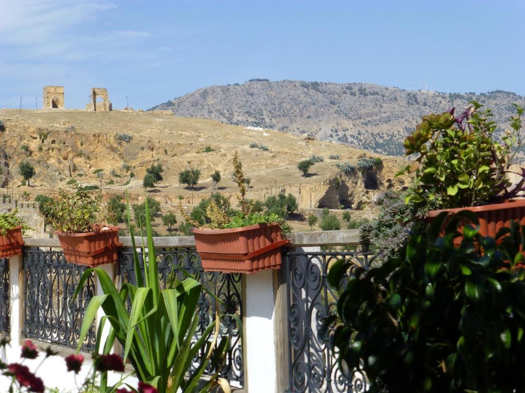 View