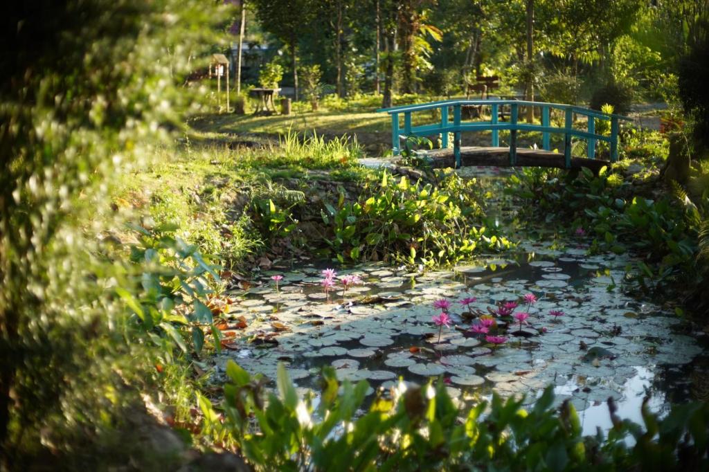 Surrounding environment