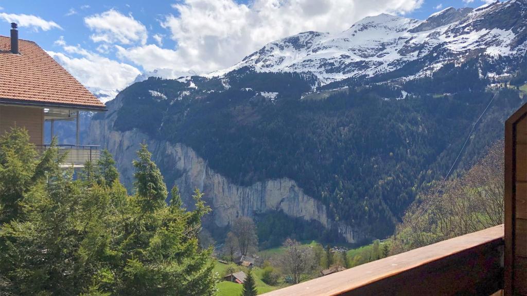 Chalet Panorama - 3