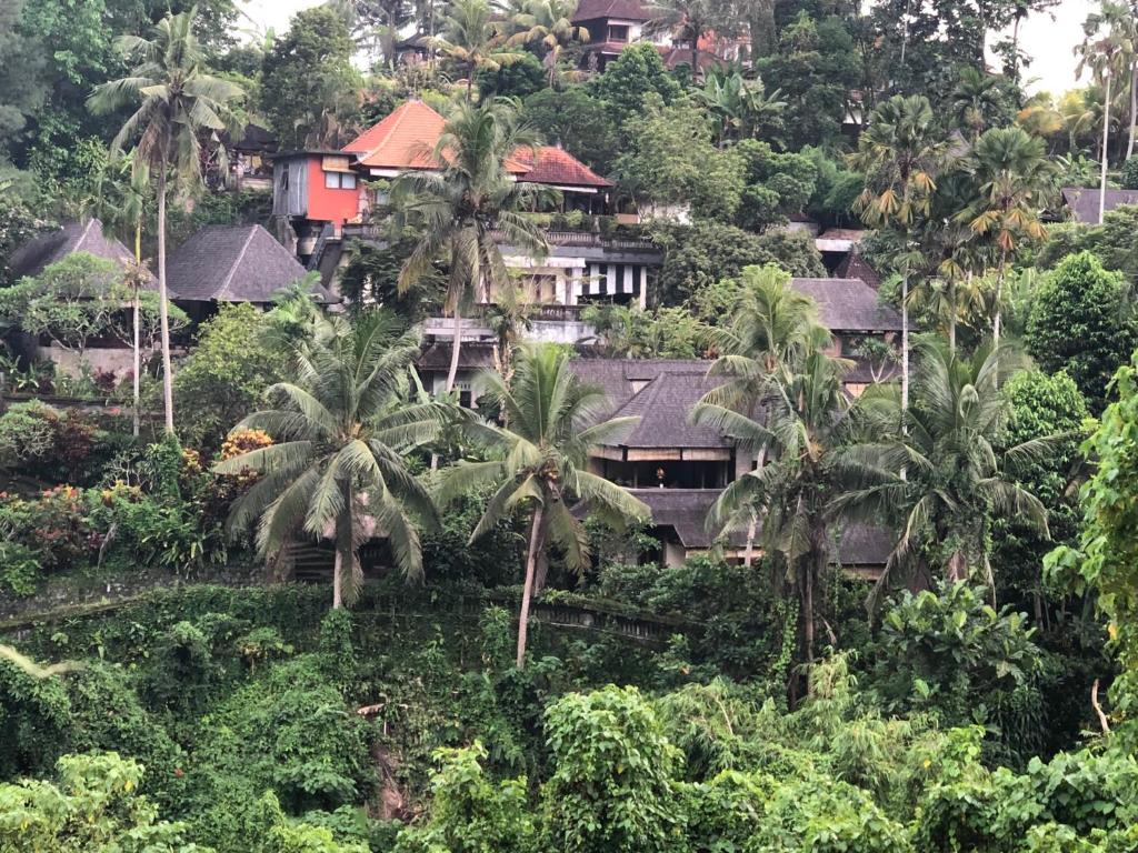 Hotel Property