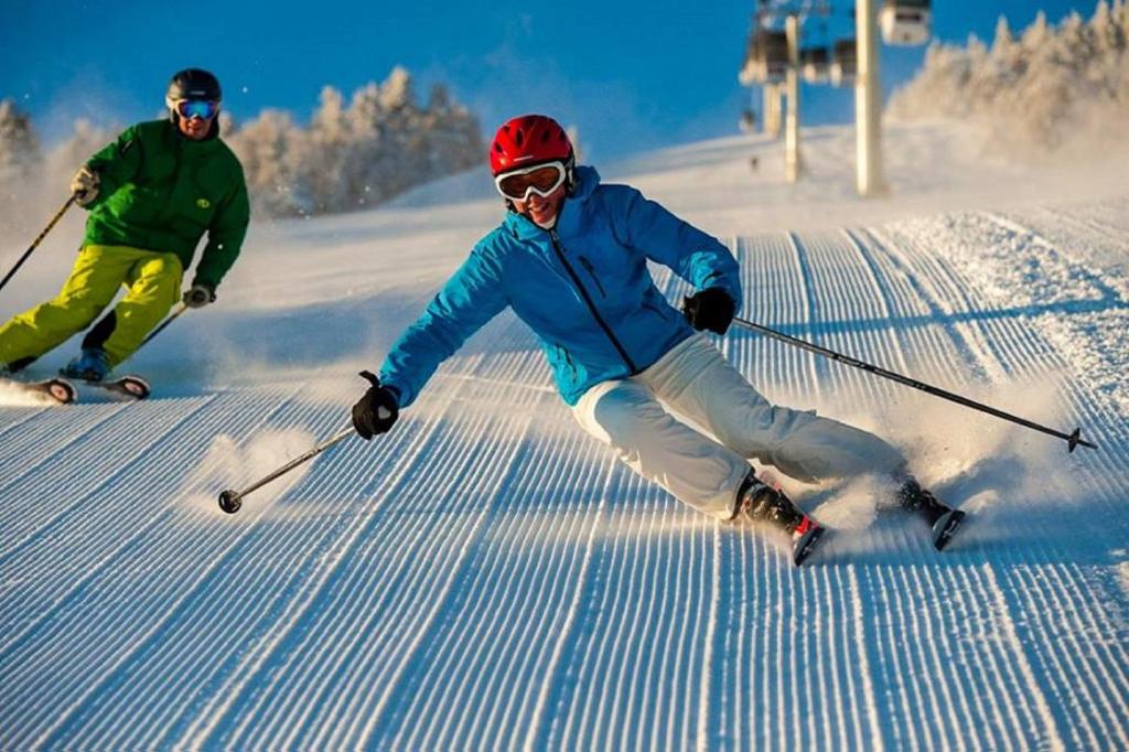 SM Apartments Kopaonik III - 5