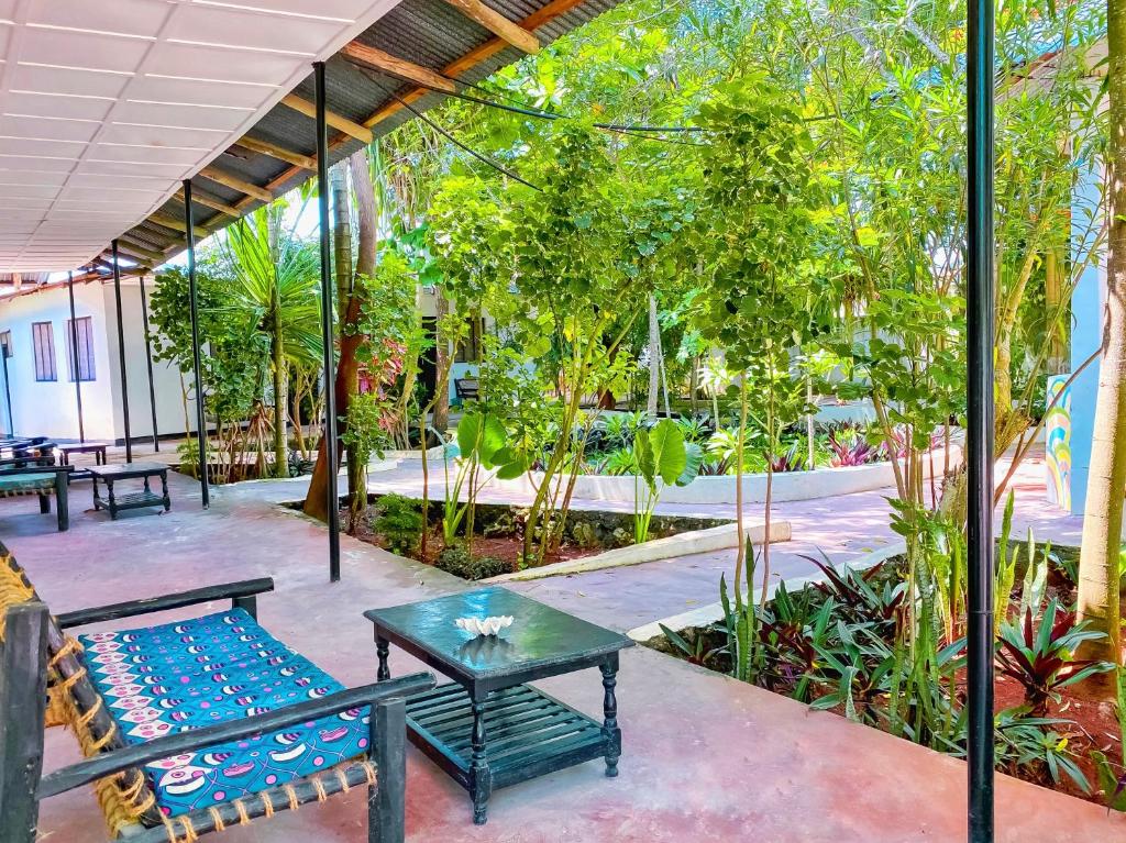 Papaya Guest House Nungwi, Zanzibar 2023 Updated Prices, Deals