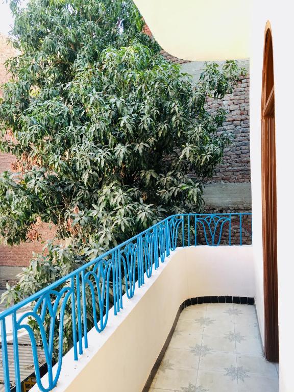 Sunflower Guest House Luxor West Bank photo