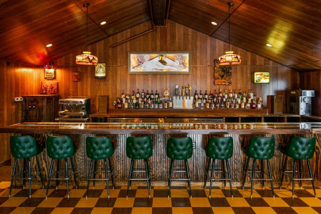 The Dive Motel and Swim Club photo